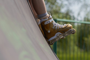 Similar image 1331171