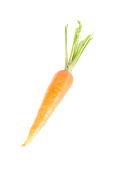 Similar image 1331234