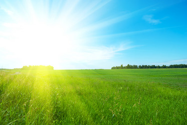 Similar image 1331259