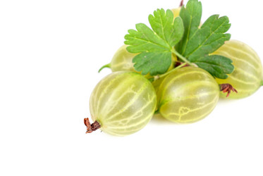 Similar image 1331289