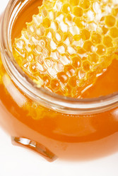 Similar image 1331296