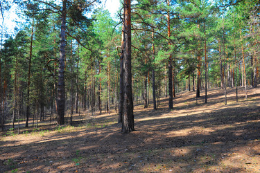 Similar image 1331341