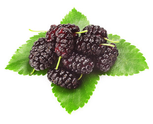 Similar image 1331367