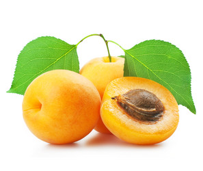 Similar image 1331371