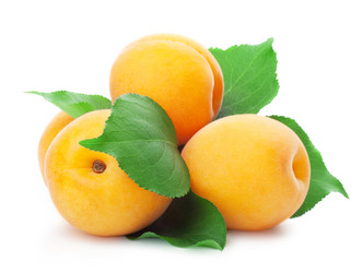 Similar image 1331372