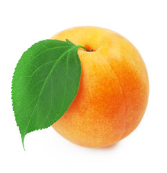 Similar image 1331373