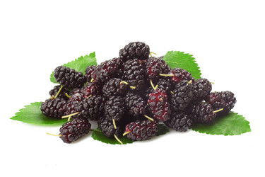 Similar image 1331374