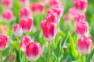 Similar image 1331387