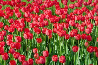 Similar image 1331399