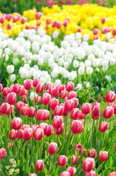 Similar image 1331401