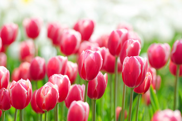 Similar image 1331402