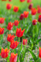 Similar image 1331418