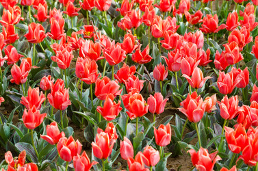 Similar image 1331420