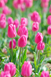 Similar image 1331421