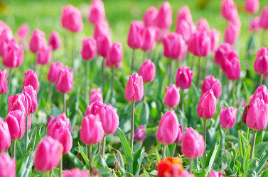 Similar image 1331422