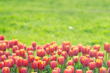 Similar image 1331424