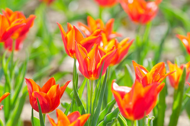 Similar image 1331425