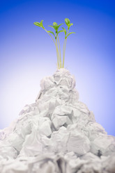 Similar image 1331433