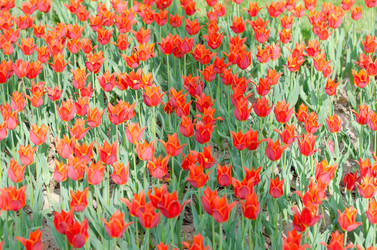 Similar image 1331449