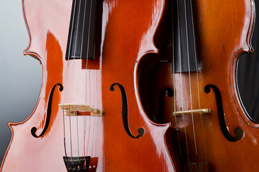 Similar image 1331479