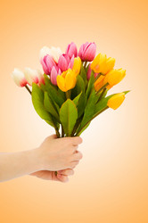 Similar image 1331482