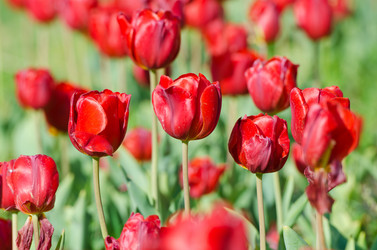 Similar image 1331490