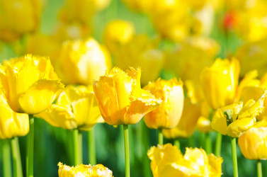 Similar image 1331492