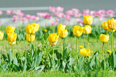 Similar image 1331494