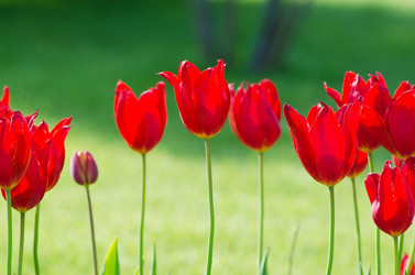 Similar image 1331495