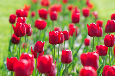 Similar image 1331589