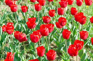 Similar image 1331592