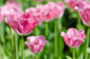 Similar image 1331755