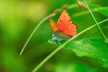 Similar image 1331833