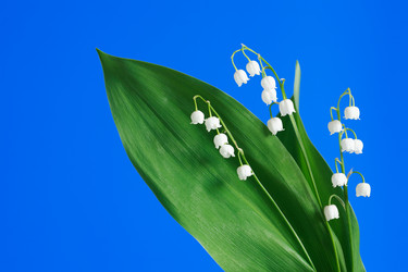 Similar image 1331836