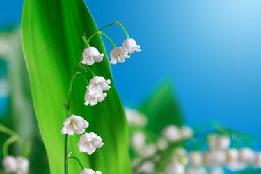 Similar image 1331838