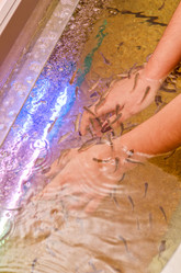 Similar image 1331880