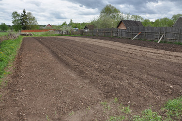 Similar image 1333775