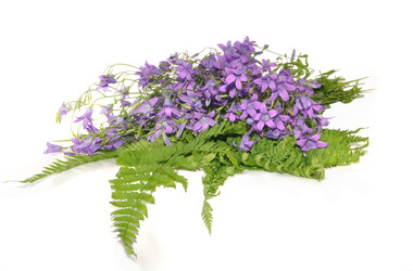 Similar image 1333786