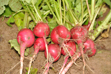 Similar image 1333788