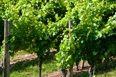 Similar image 1334309