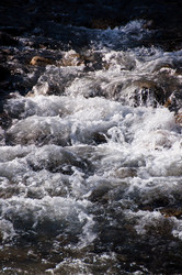 Similar image 1334343