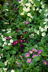 Similar image 1334351