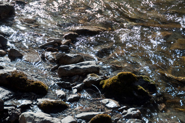 Similar image 1334353