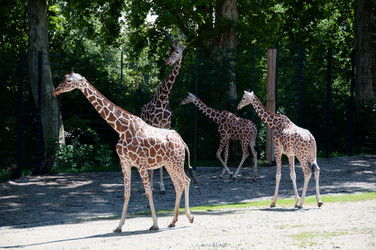 Similar image 1334357