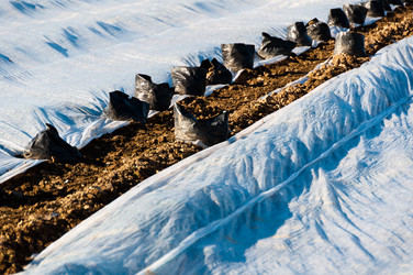 Similar image 1334372