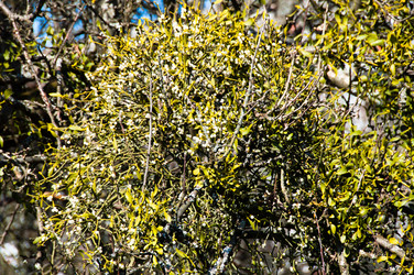 Similar image 1334374