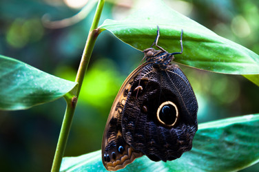 Similar image 1334378