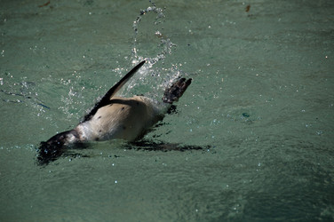 Similar image 1334400