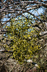 Similar image 1334406