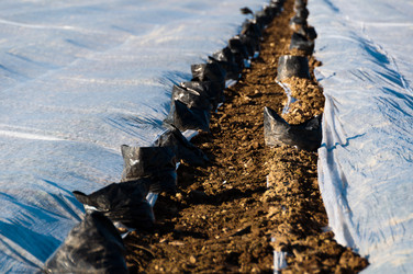 Similar image 1334418